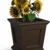 Mayne Fairfield 16in Square Planter – Espresso – Durable Self Watering Resnin Planter (5887-ES)