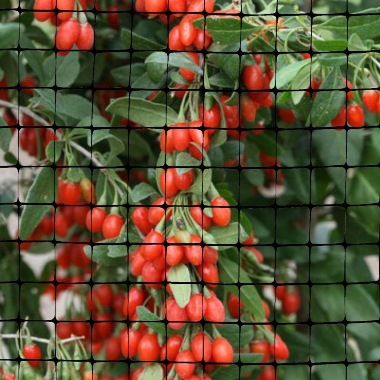 OldMacDonald Deer and Animal Fence Barrier Netting (55gr/sq m.) 7.5′ x 100′ (2.3m x 30m) (mesh 19x19mm) - Image 8